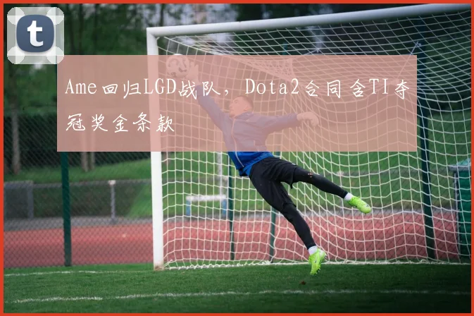Ame回归LGD战队，Dota2合同含TI夺冠奖金条款