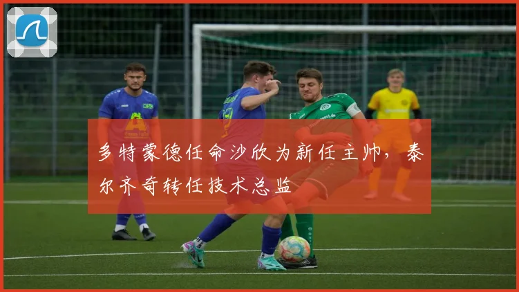 多特蒙德任命沙欣为新任主帅，泰尔齐奇转任技术总监